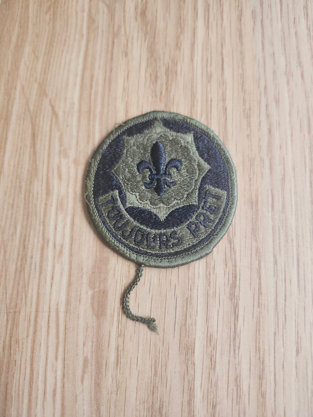 U.S. Army 256th Infantry Brigade Patch "Toujours Pret" Subdued OD Green Black